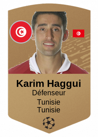 Karim Haggui