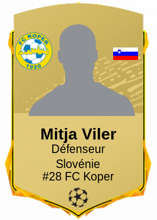 Mitja Viler