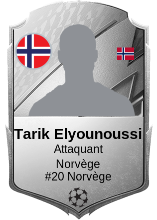 Tarik Elyounoussi