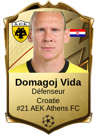 Domagoj Vida