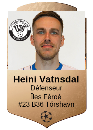 Heini Vatnsdal
