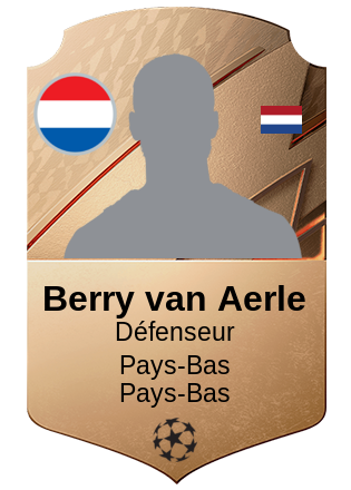 Berry van Aerle