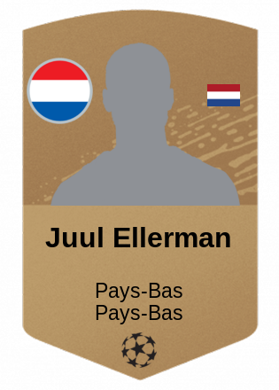 Juul Ellerman
