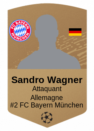 Sandro Wagner