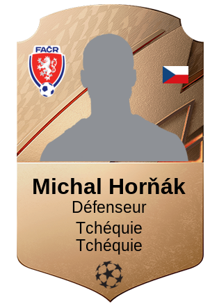 Michal Horňák