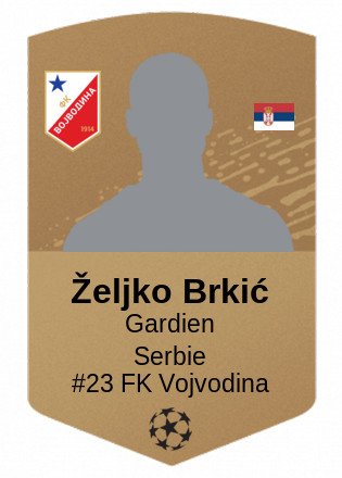 Željko Brkić