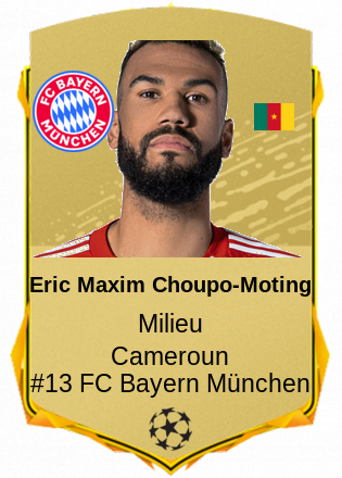 Eric Maxim Choupo-Moting