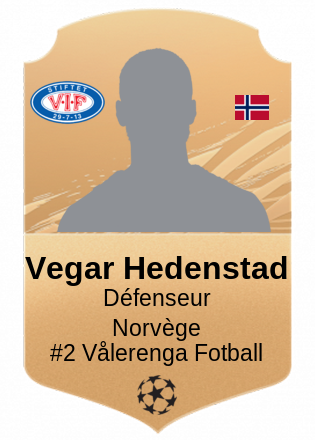 Vegar Hedenstad