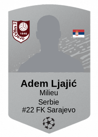 Adem Ljajić