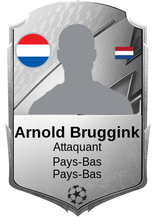Arnold Bruggink