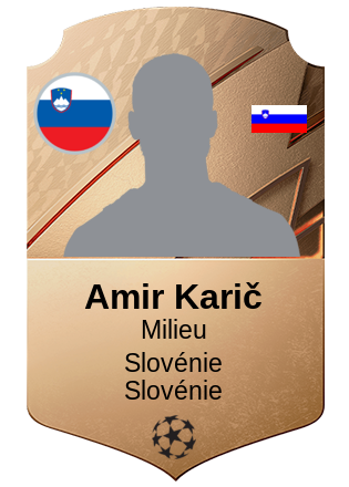 Amir Karič