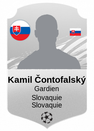 Kamil Čontofalský