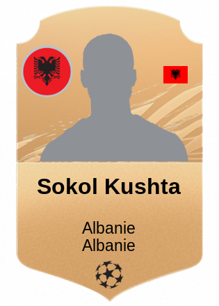Sokol Kushta