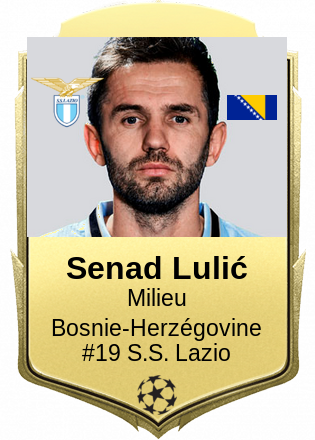 Senad Lulić