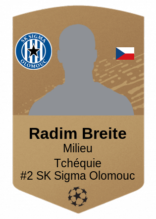 Radim Breite