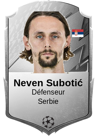 Neven Subotić
