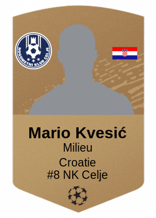 Mario Kvesić