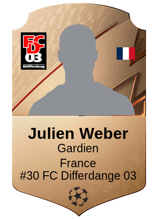 Julien Weber