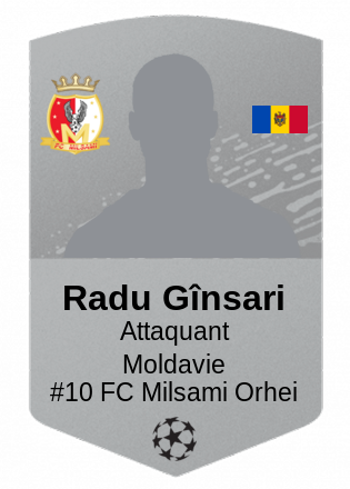 Radu Gînsari