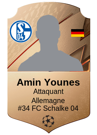 Amin Younes