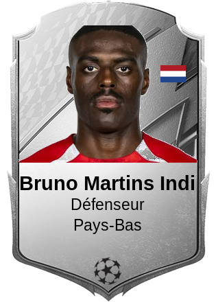 Bruno Martins Indi