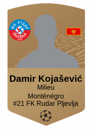 Damir Kojašević