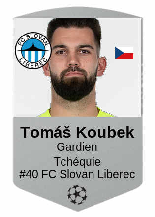Tomáš Koubek