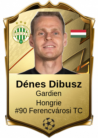Dénes Dibusz