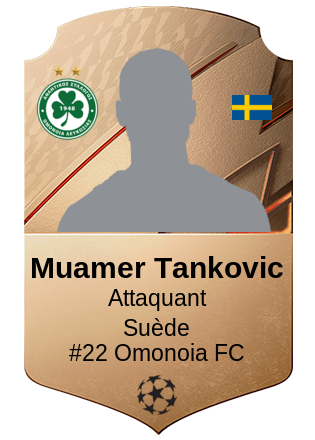 Muamer Tankovic