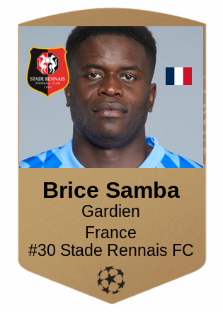 Brice Samba