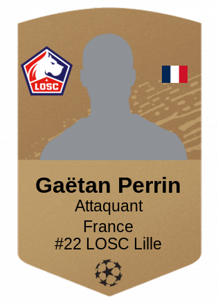 Gaëtan Perrin