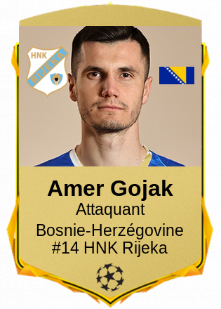 Amer Gojak