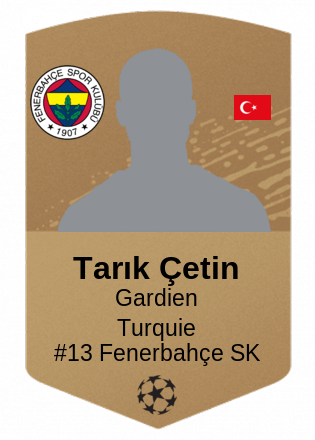 Tarık Çetin