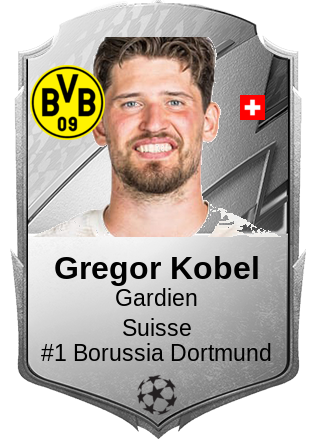Gregor Kobel