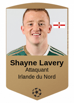 Shayne Lavery