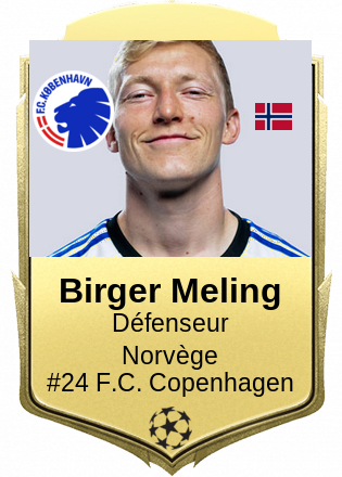 Birger Meling