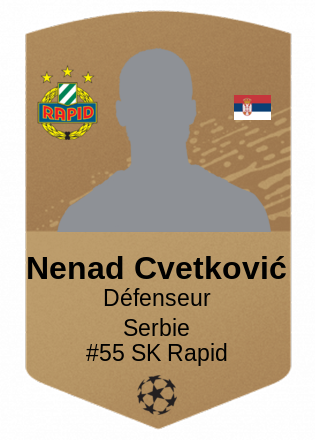 Nenad Cvetković
