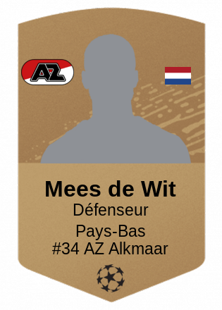 Mees de Wit