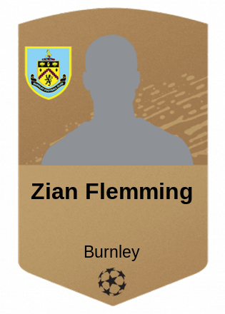 Zian Flemming