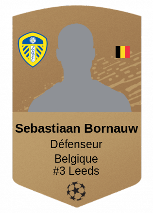 Sebastiaan Bornauw