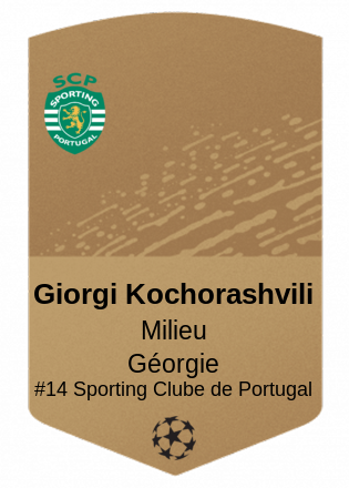 Giorgi Kochorashvili