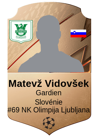 Matevž Vidovšek