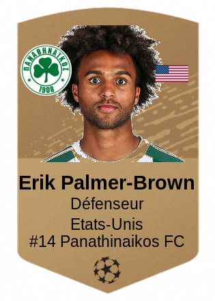 Erik Palmer-Brown