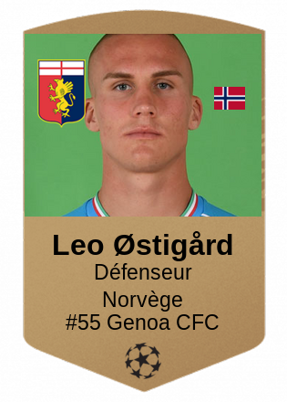 Leo Østigård