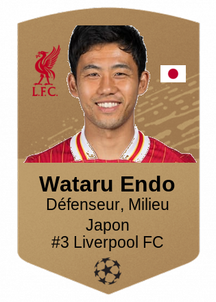 Wataru Endo