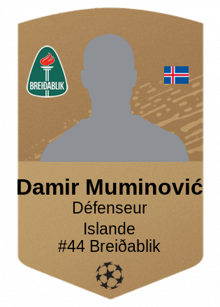 Damir Muminović