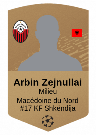 Arbin Zejnullai