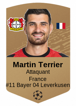 Martin Terrier