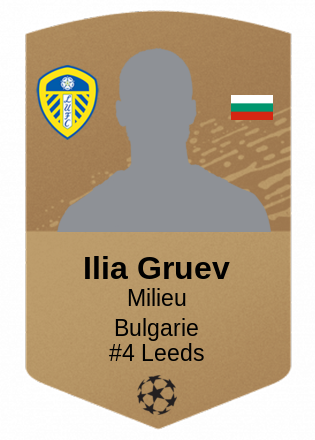 Ilia Gruev