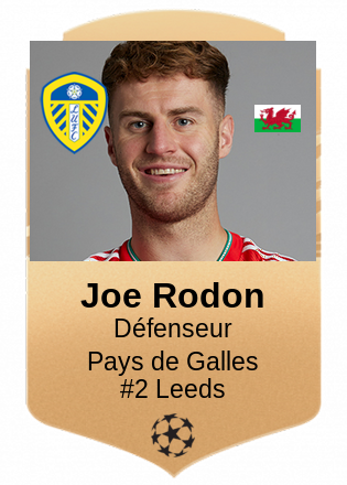 Joe Rodon